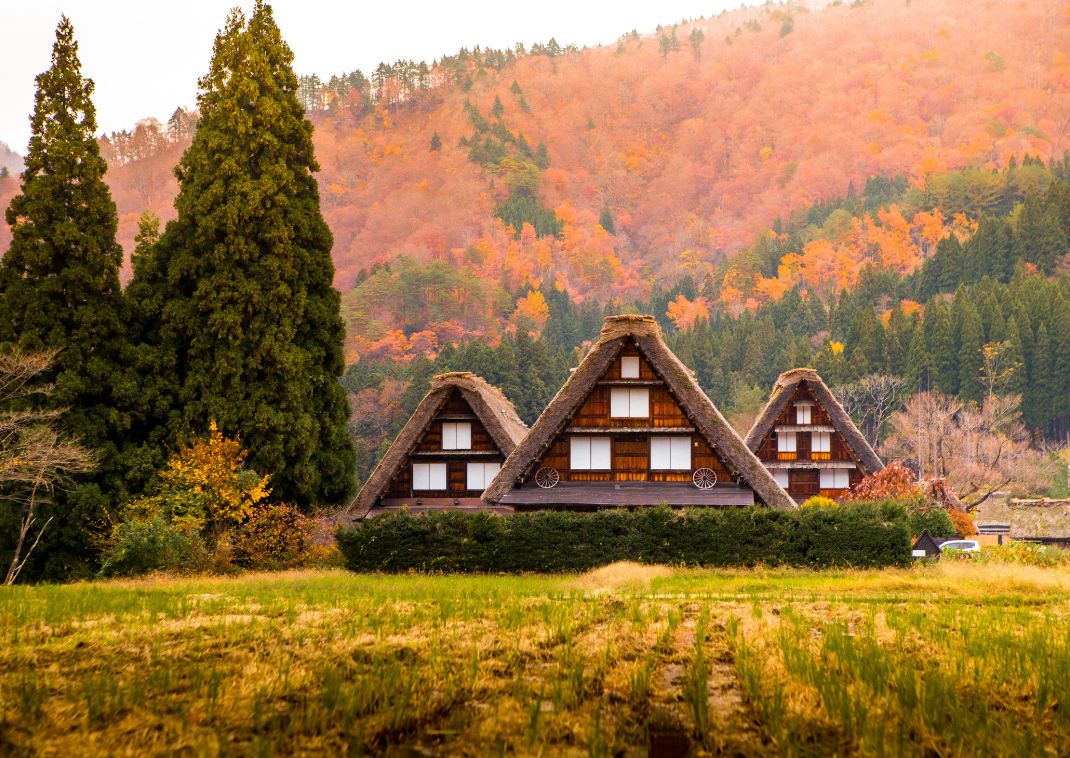 Cabañas Patrimonio de la Humanidad en Shirakawago, Japón