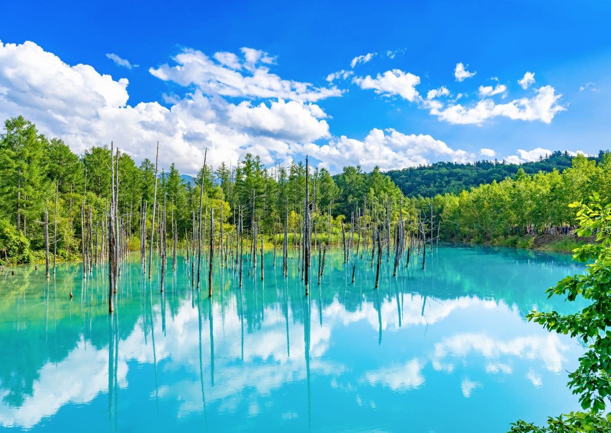 Lago en Shirokane, Biei-cho, Hokkaido