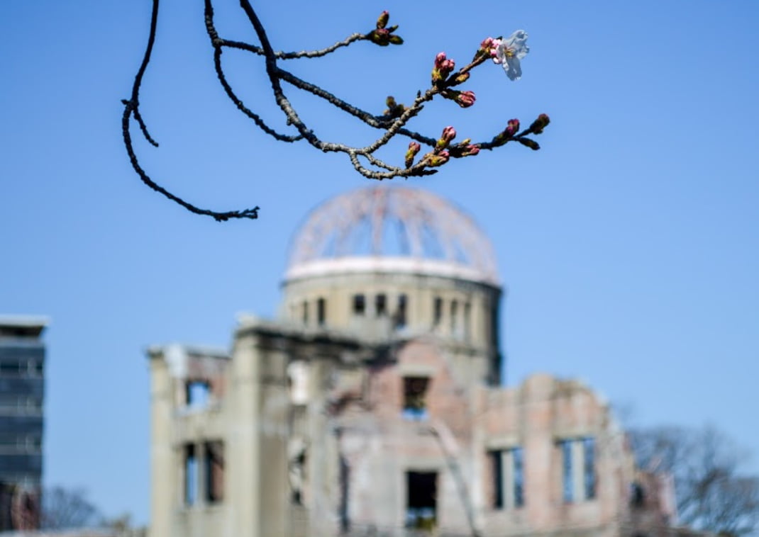 Las primeras flores de cerezo (Sakura) en el parque de la Paz con la cúpula detrás. Hiroshima.

