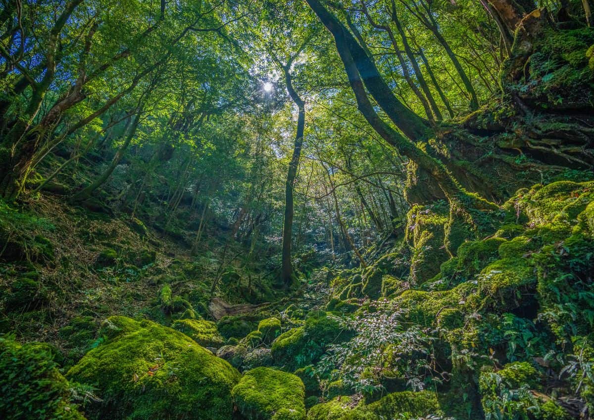 Las cataratas de Shiraito en Karuizawa, Nagano, Japón