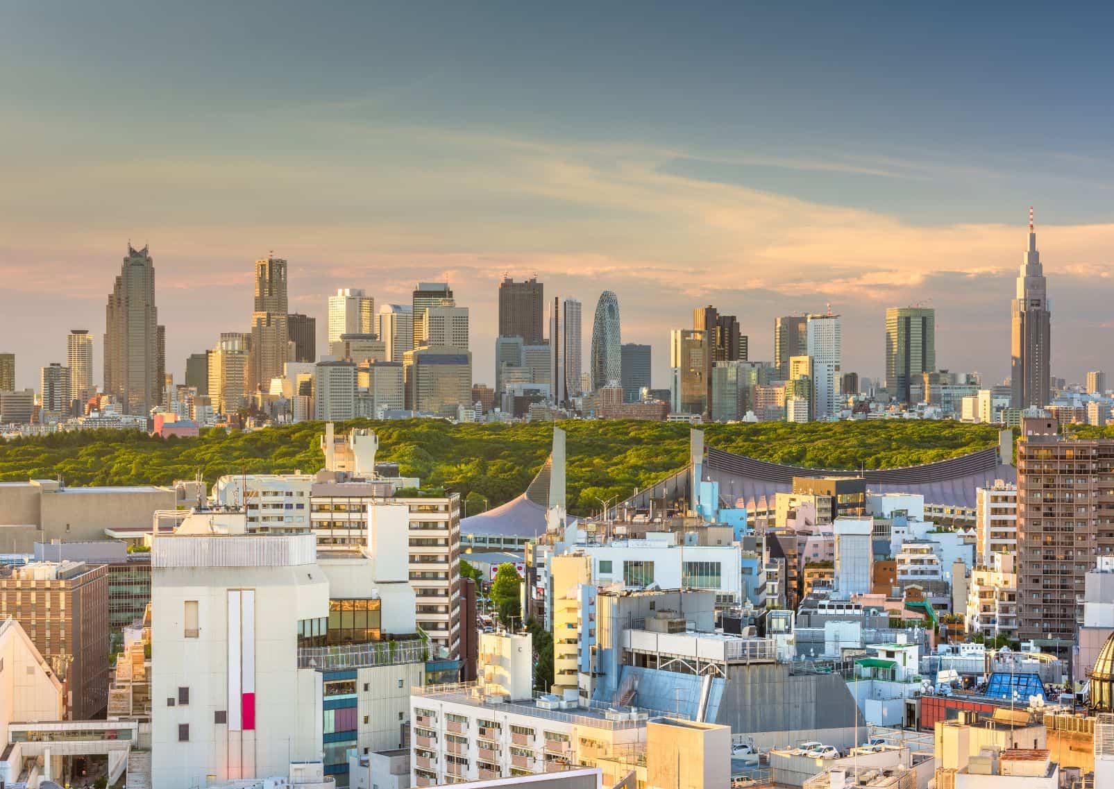 El horizonte del oeste de Tokio