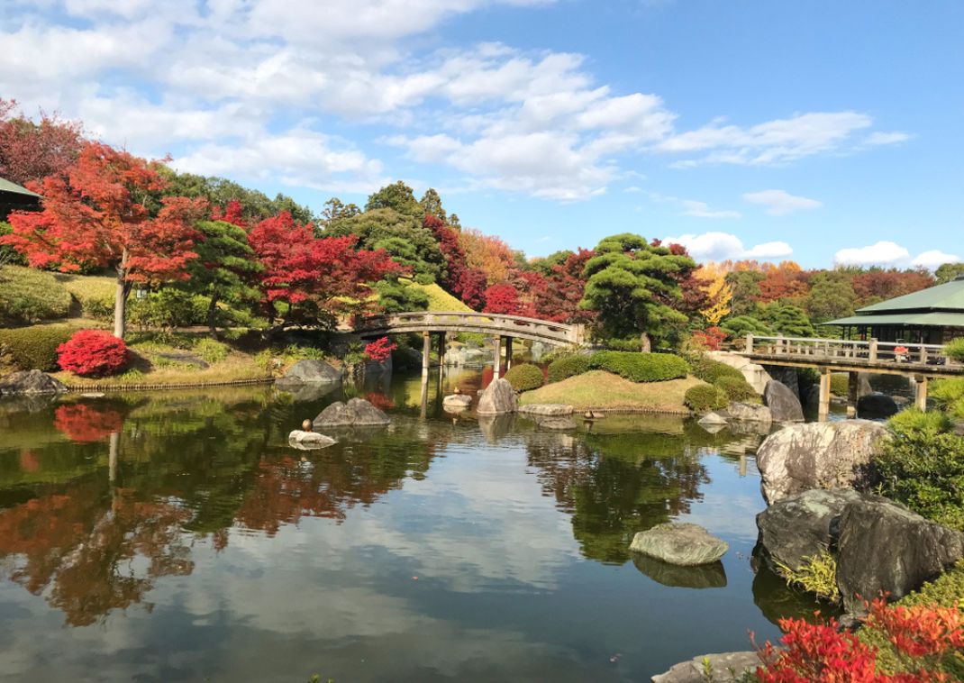 Jardín zen de rocas con grava blanca cuidadosamente rastrillada, grandes piedras y cerezos en flor junto a un edificio tradicional de madera.