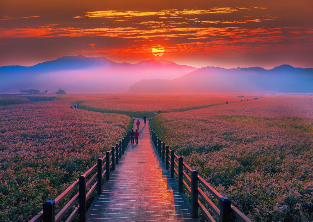 Amanecer en la bahía de Suncheon, Corea del Sur