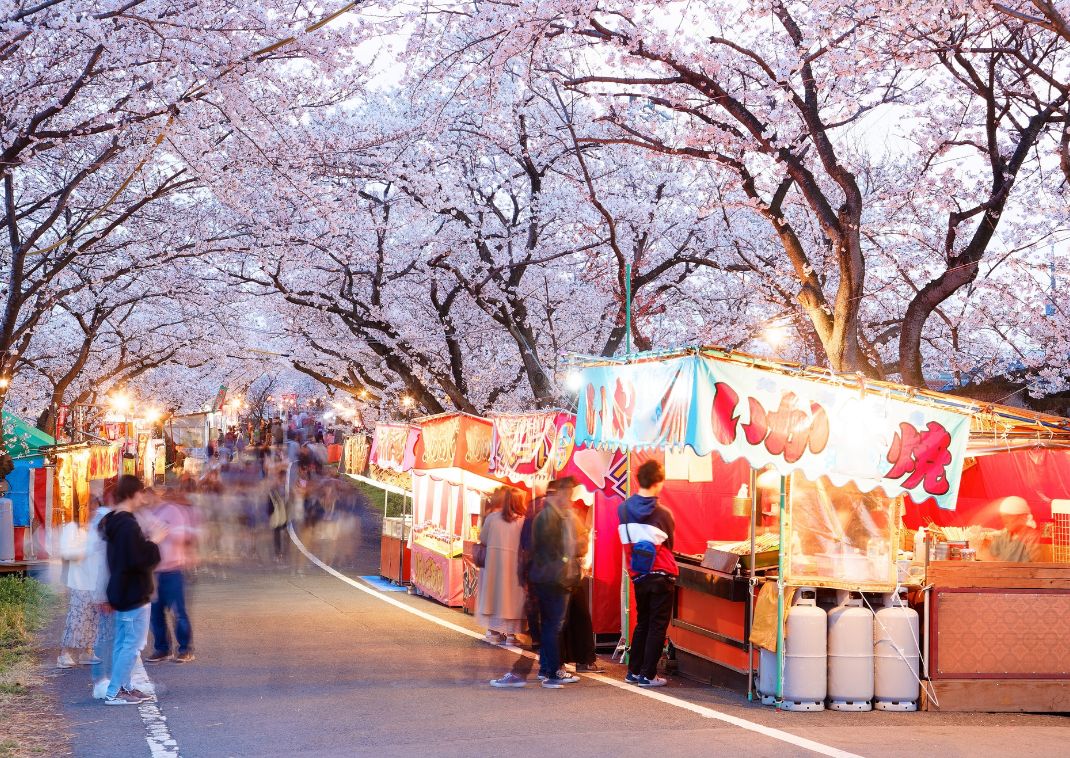 Sakura Matsuri Festival, Gifu
