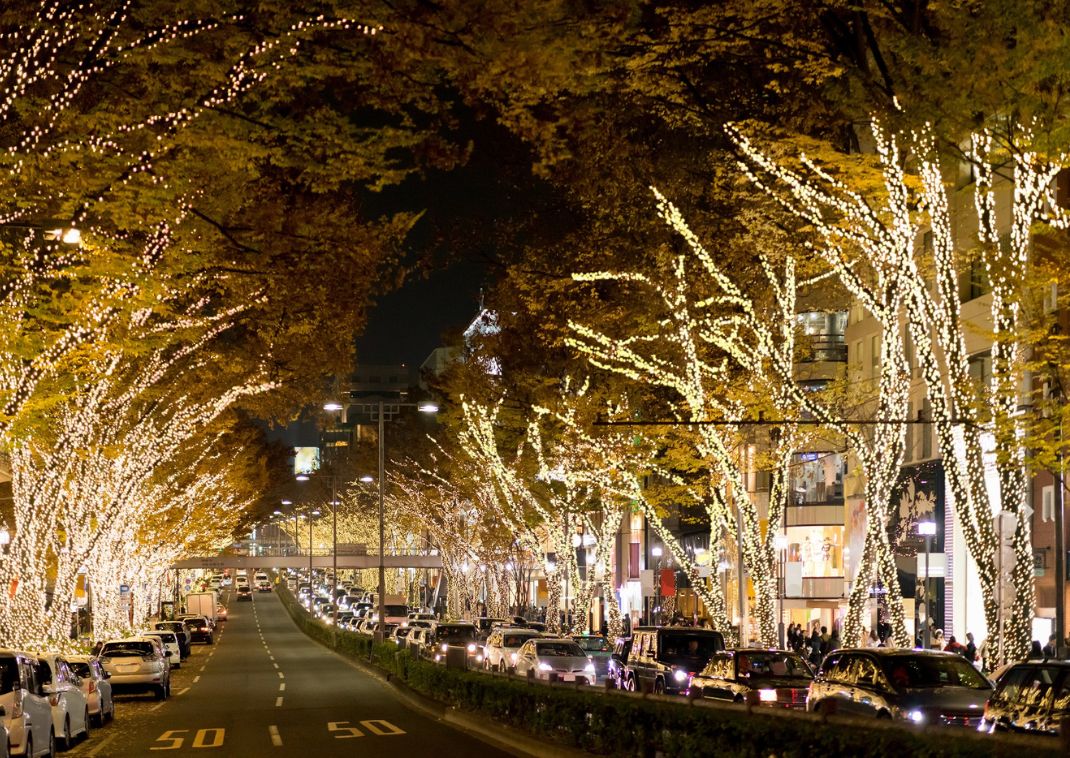  Omotesando por la noche, Tokio, Japón
