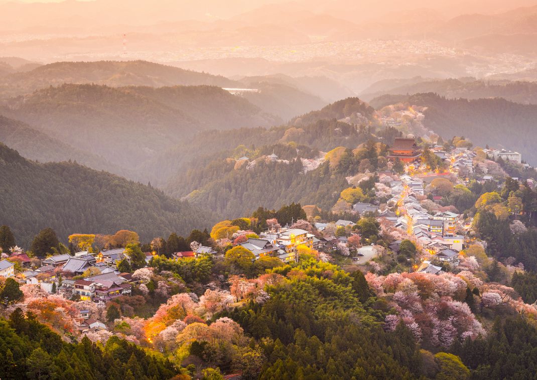 Vista de la ciudad y árboles de cerezo durante la primavera en Yoshinoyama, Nara, Japón