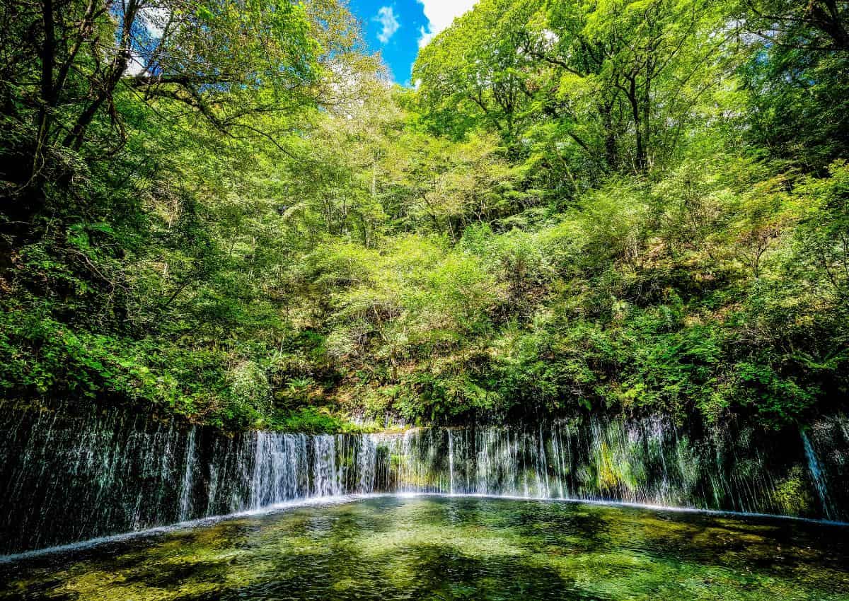 Puente colgante de una ruta de senderismo en el monte Takao, Tokio