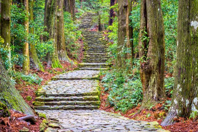 Camino de Kuano Kodo