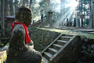 Cemeterio Okunoin, Monte Koya