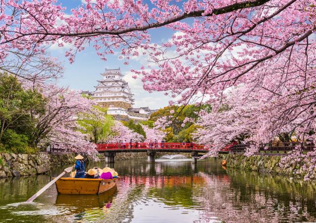 lugares para ver los cerezos en flor en Japón