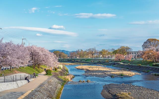 Orilla del río Kamogawa