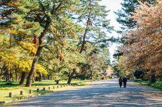 Jardín nacional Kyoto Gyoen