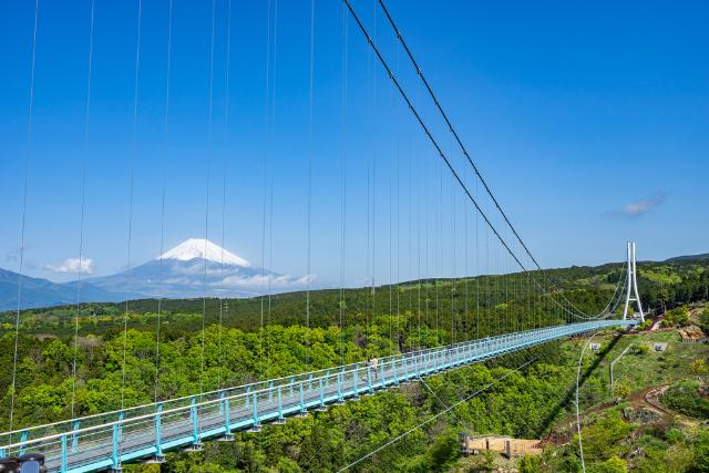 Mishima Skywalk, Fuji