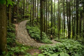 Sendero de Nakasendo 