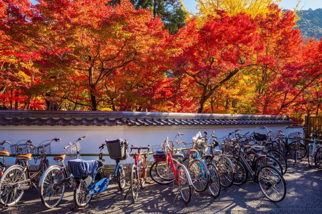 Bicicleta en Kyoto