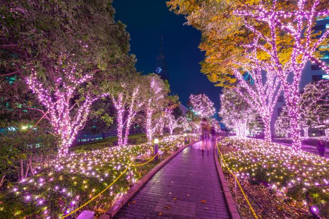 Iluminación invernal en el barrio Shinjuku de Tokyo