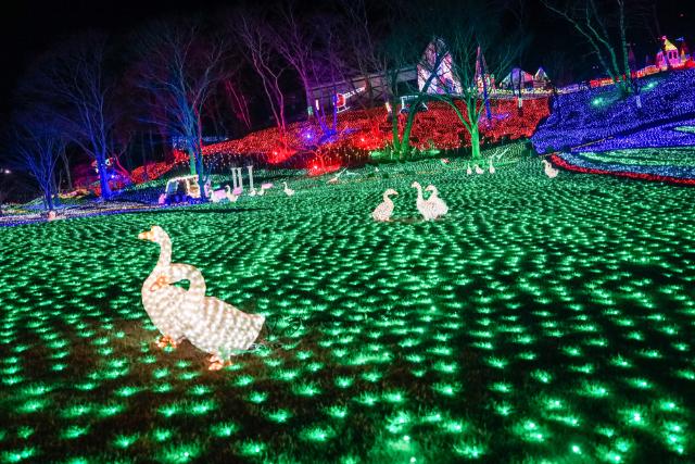 Iluminación invernal del parque Doitsu Mura