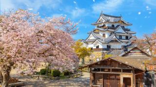 Castillo de Hikone 