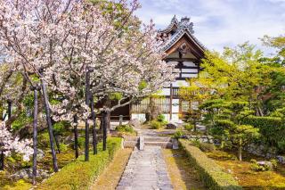 Templo budista Tenryu-ji, Kyoto 