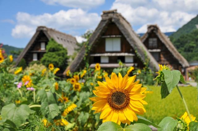 Shirakawago 