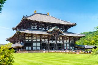 Nara para visitar el templo Todai-ji 