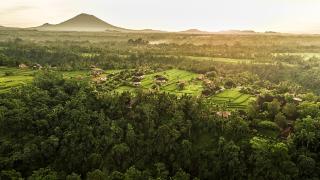 Terrazas de arroz en Ubud vista aerea 