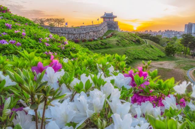 Fortaleza de Hwaseong