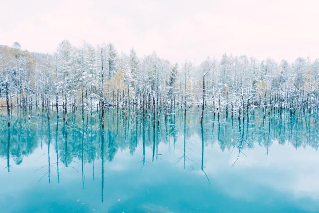 Blue Pond, aoi-ke en japonés, en verano Shirogane, Biei, Hokkaido 