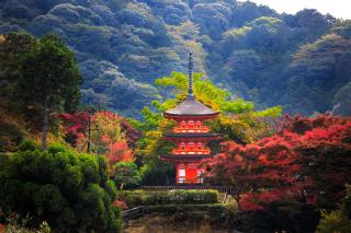  Kiyomizudera Koyasunoto, Kioto 