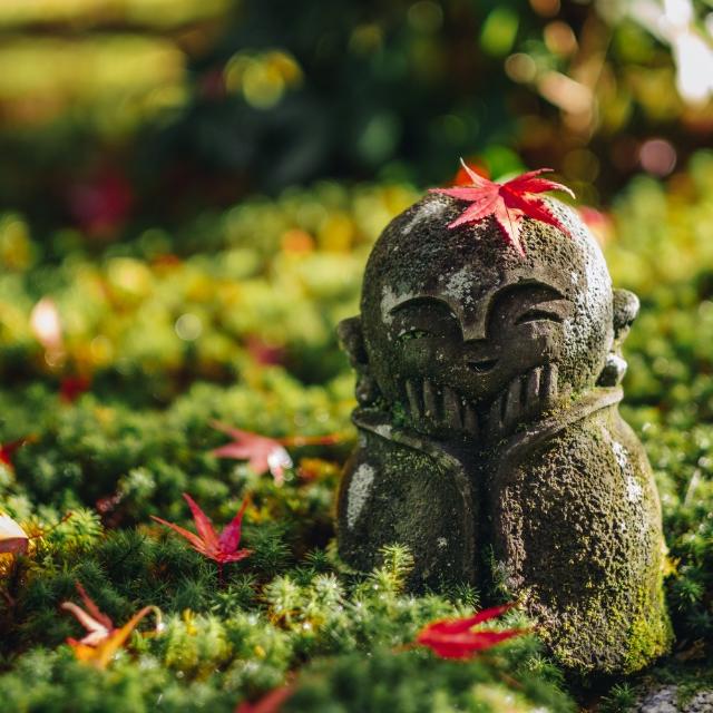 Momiji Zen