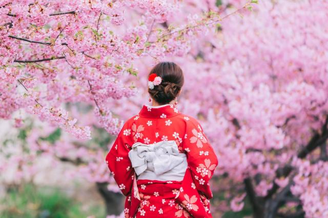 Mujer en kimono paseando por los cerezos en flor de Japón