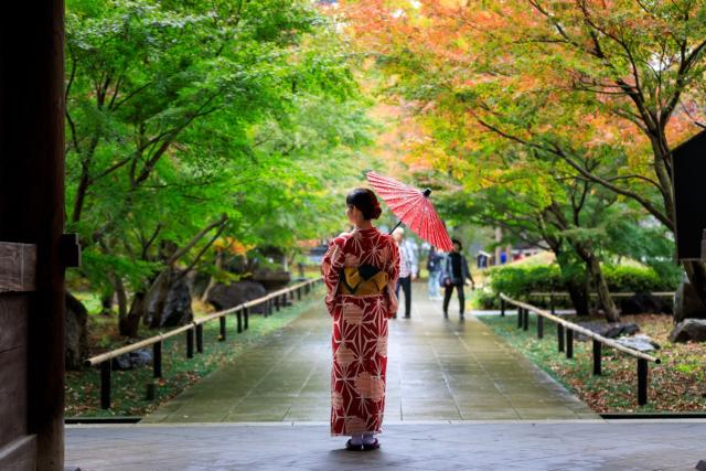 Mujer japonesa con un kimono rojo que sostiene un paraguas, caminando tranquilamente por un parque público con hojas de otoño en Japón.