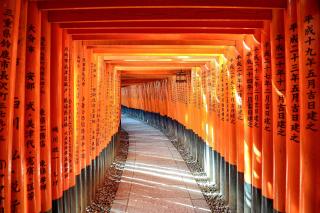 Fushimi Inari 