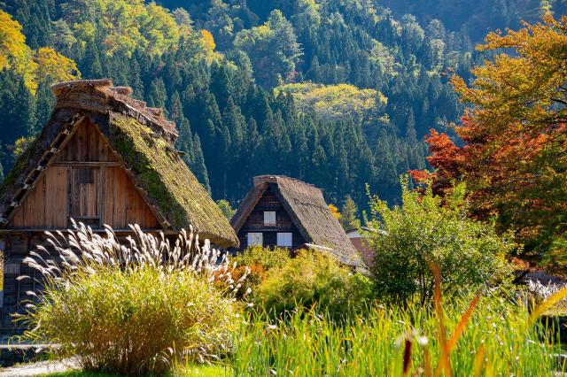 Shirakawago 