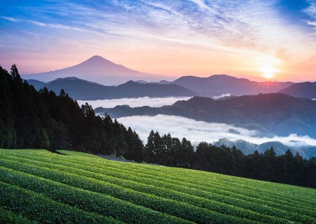 Vista del Monte Fuji en Japón