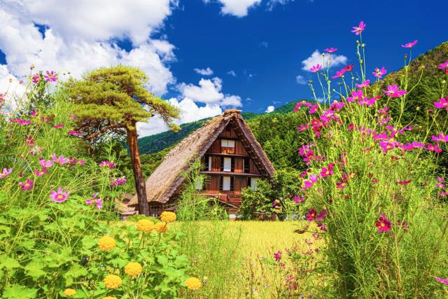 Granjas tradicionales en verano, Shirakawago
