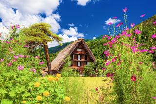 Granjas tradicionales en verano, Shirakawago