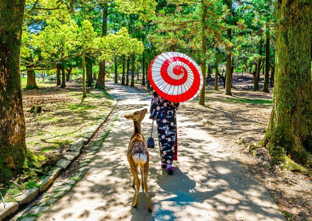 Mujer en kimono con un ciervo en Nara