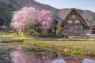 Aldea de Shirakawa-go, Japón 
