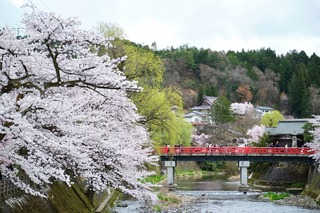 Takayama en primavera
