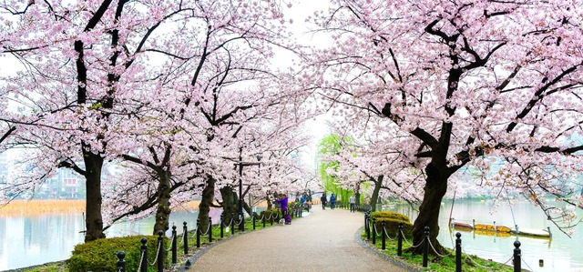 Parque Ueno, Tokio