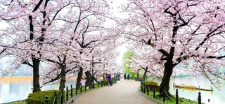 Parque Ueno, Tokio