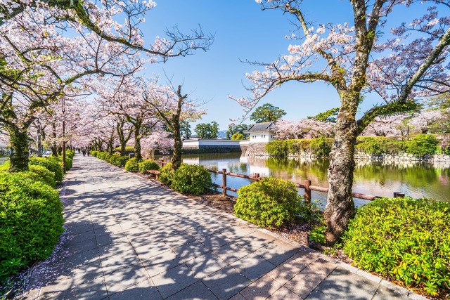 Parque del Castillo de Odawara