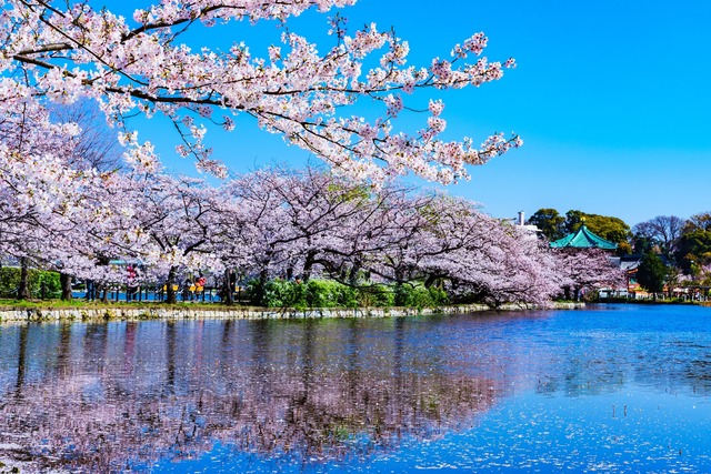 Parque Ueno, Tokio 