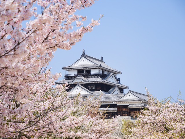 Castillo de Matsuyama 