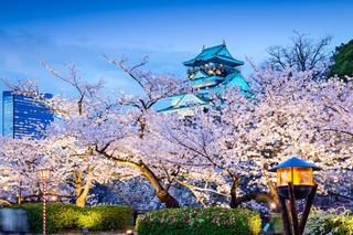 Castillo de Osaka 
