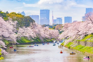 Foso Chidorigafuchi, Tokio