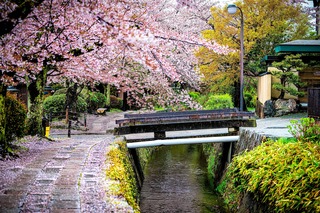Camino del filósofo, Kioto