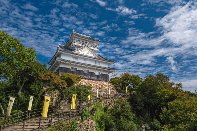 Castillo de Gifu 