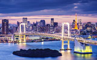 Vistas a Tokio desde Odaiba 